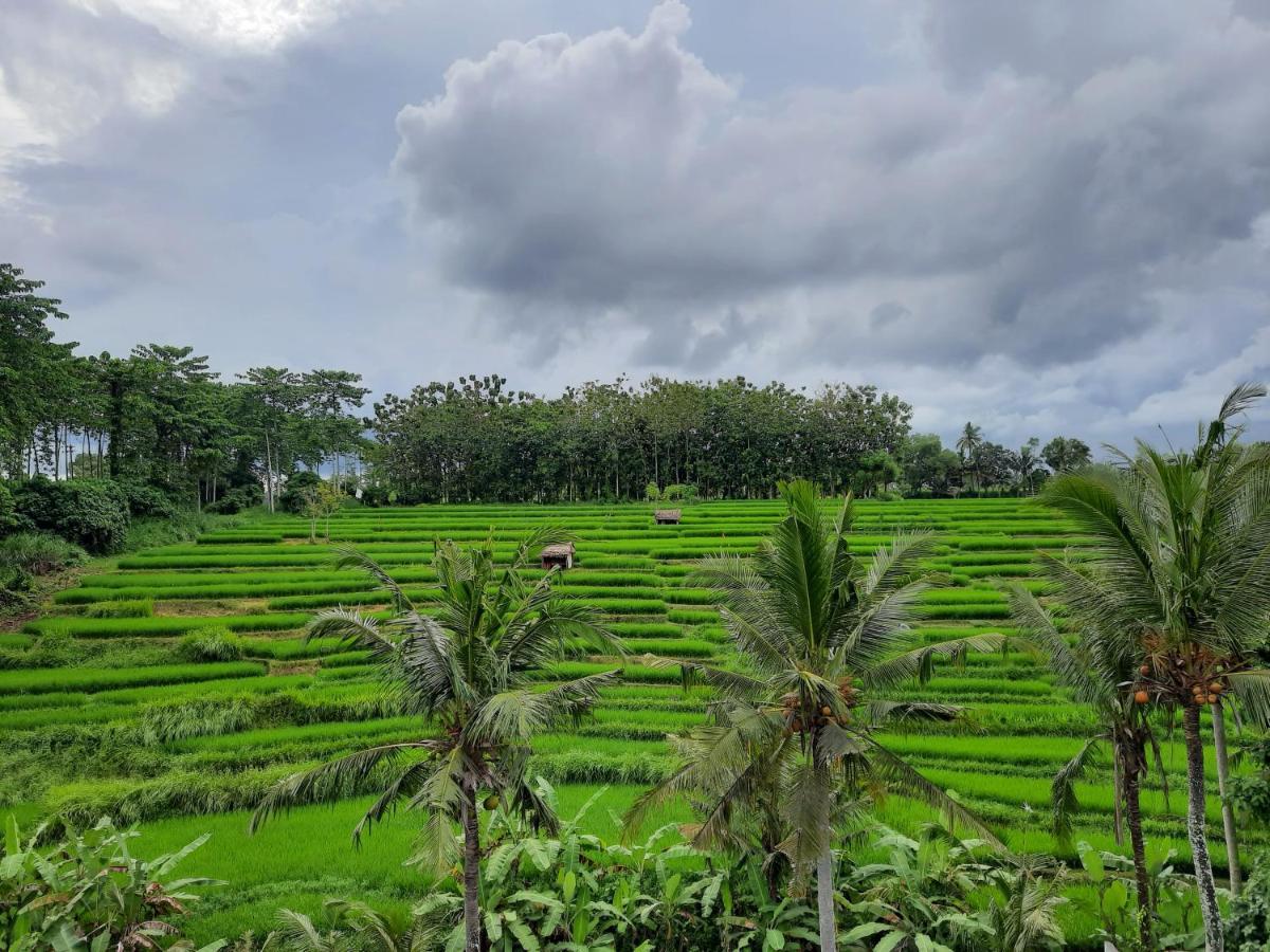 Serenity Private Villa Mas Ubud Zewnętrze zdjęcie