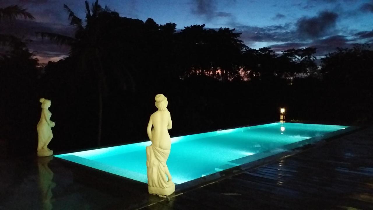 Serenity Private Villa Mas Ubud Zewnętrze zdjęcie