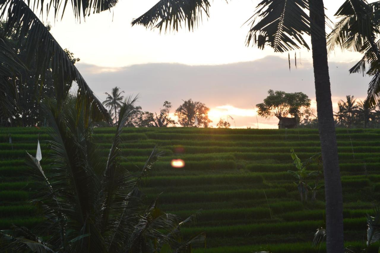 Serenity Private Villa Mas Ubud Zewnętrze zdjęcie