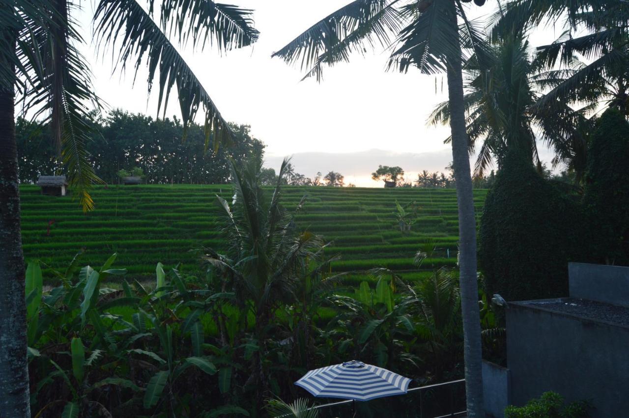 Serenity Private Villa Mas Ubud Zewnętrze zdjęcie