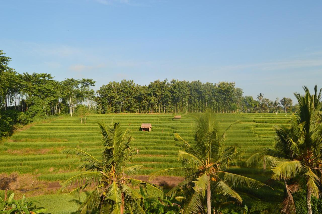 Serenity Private Villa Mas Ubud Zewnętrze zdjęcie