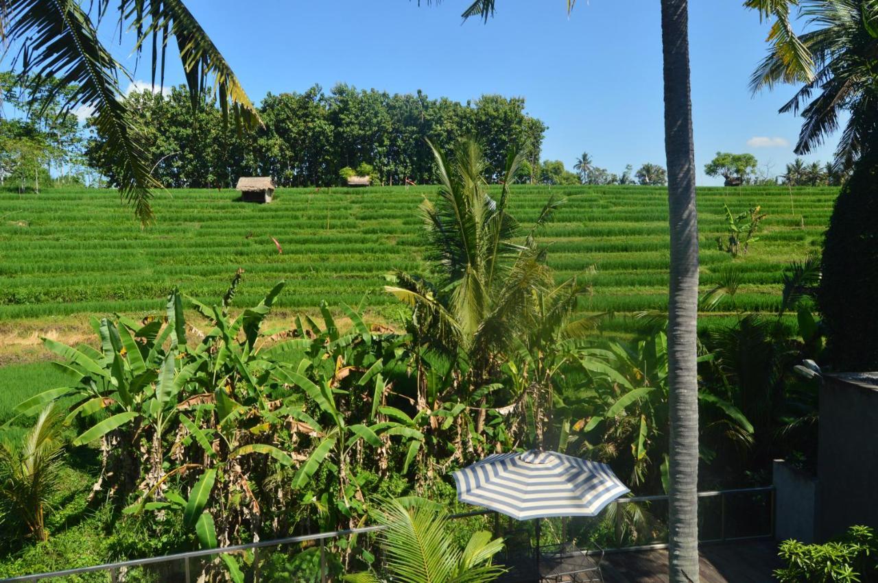 Serenity Private Villa Mas Ubud Zewnętrze zdjęcie